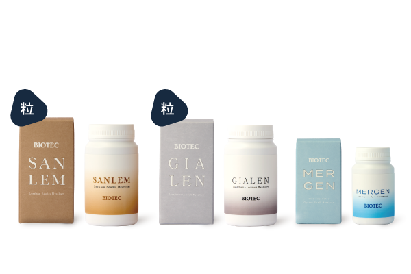 BASIC PLUS-A